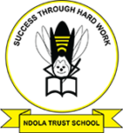 Ndola Trust School-logo