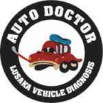 LUSAKA VEHICLE DIAGNOSIS BOOTHS & AUTO SPARES-logo