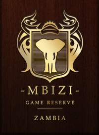Mbizi Safaris Ltd-logo