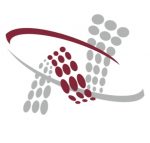 NetOne Information Technology Ltd-logo