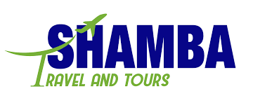 Shamba Travel Group-logo