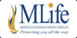 Madison Life Insurance Company (Z)-logo
